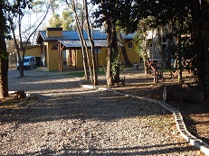 Camino